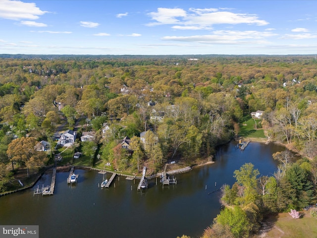 bird's eye view with a forest view and a water view