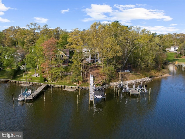 view of dock featuring boat lift and a water view