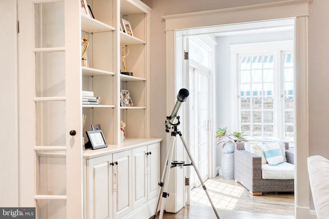 doorway to outside with light wood-style floors