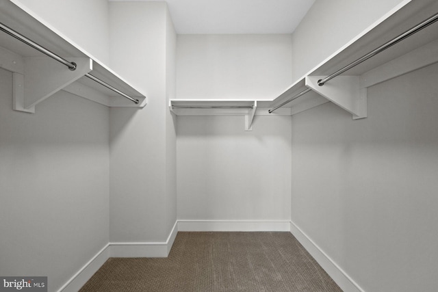 301 S Broad St Unit 1901-2, Philadelphia, PA 19107 - walk in closet with carpet floors
