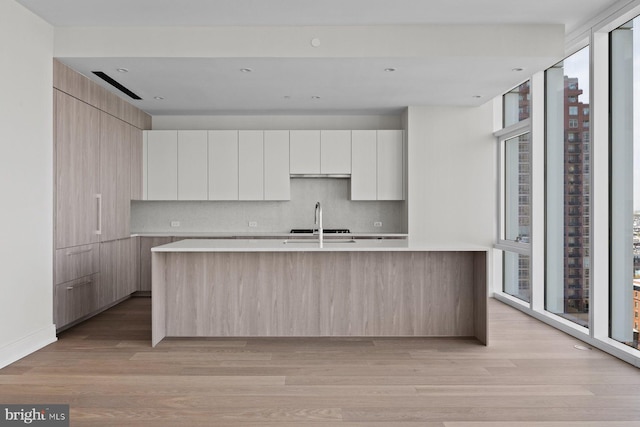 301 S Broad St Unit 1901-2, Philadelphia, PA 19107 - kitchen with a sink, light wood-style floors, modern cabinets, decorative backsplash, and light countertops