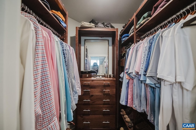 view of spacious closet