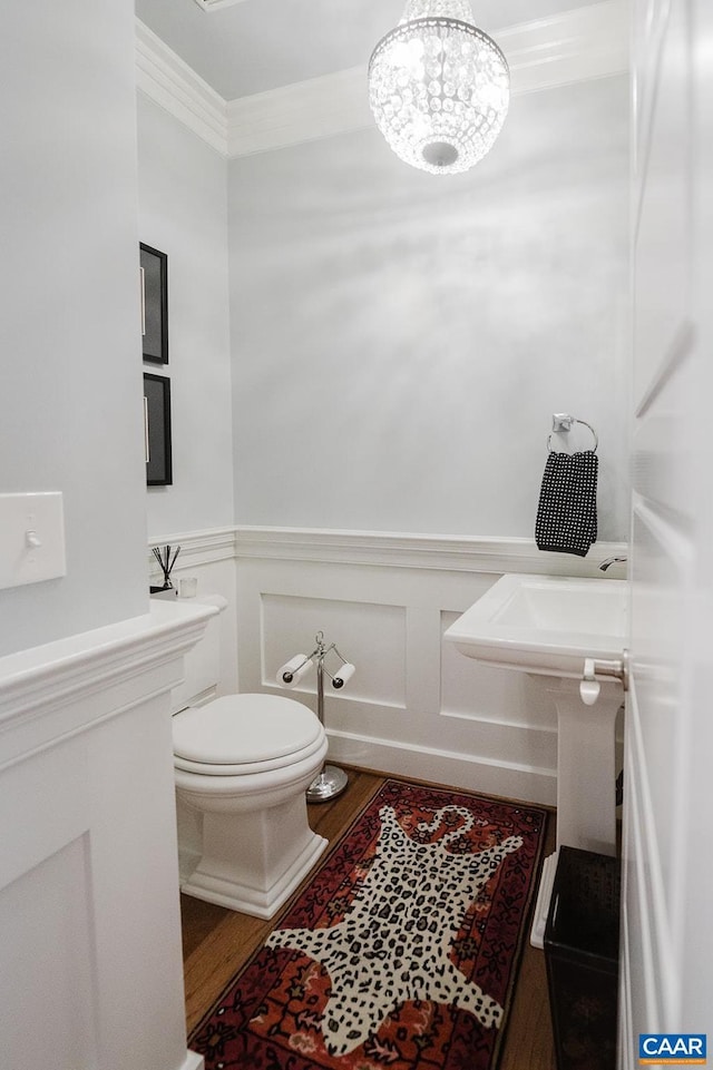 bathroom featuring wood finished floors, a decorative wall, toilet, and wainscoting