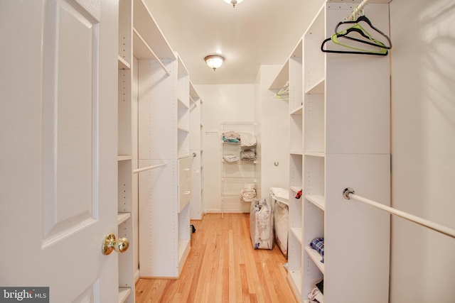 spacious closet with light wood-type flooring