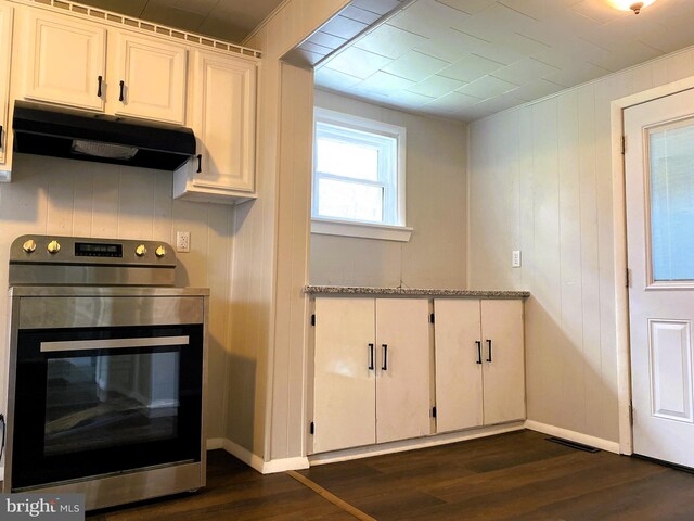 kitchen featuring baseboards, under cabinet range hood, dark wood-style floors, and stainless steel range with electric stovetop