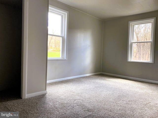 spare room featuring baseboards, carpet flooring, and crown molding