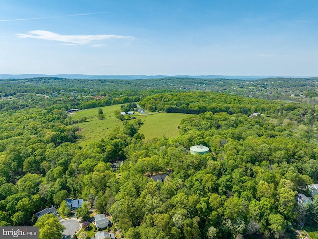 bird's eye view with a forest view
