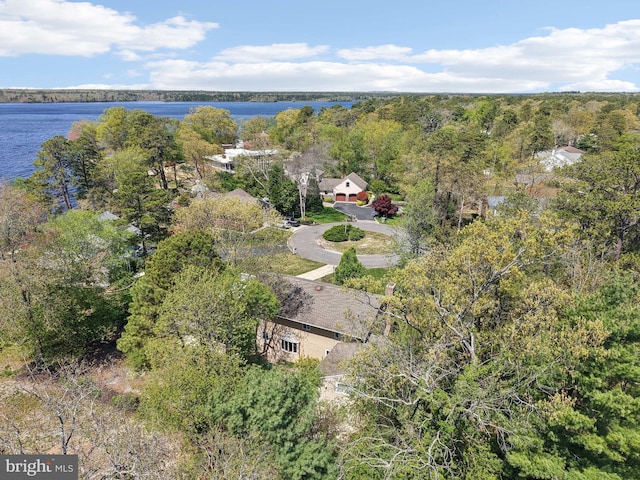 aerial view of a nearby body of water and a forest