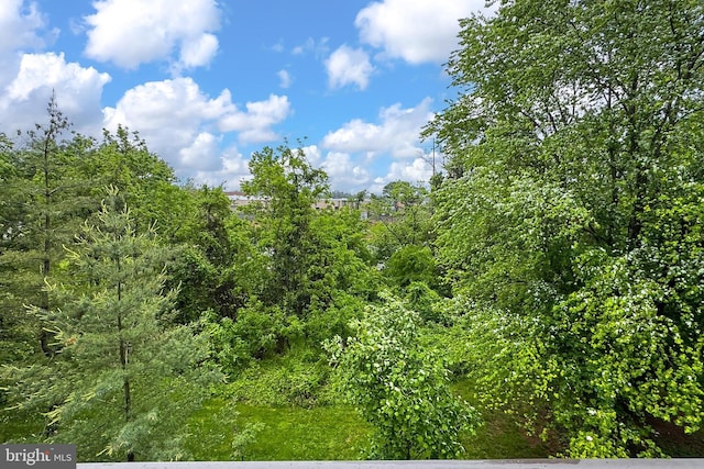 9552 Cannoneer Ct Unit 403, Manassas, VA 20110 - view of local wilderness