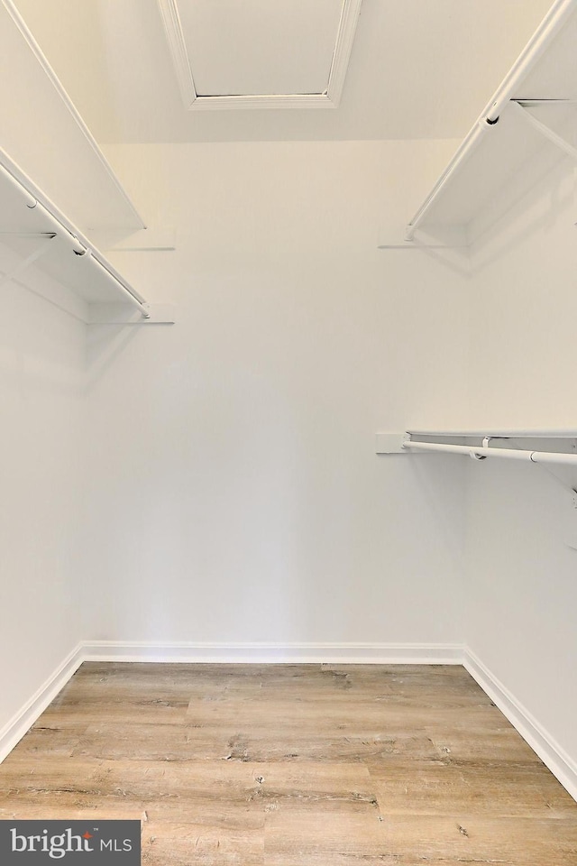 9552 Cannoneer Ct Unit 403, Manassas, VA 20110 - spacious closet featuring wood finished floors