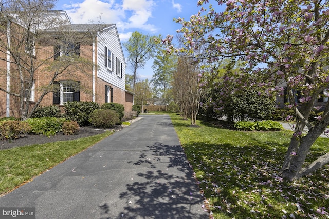 707 Greenwood Rd, Wilmington, DE 19807 - view of road with driveway