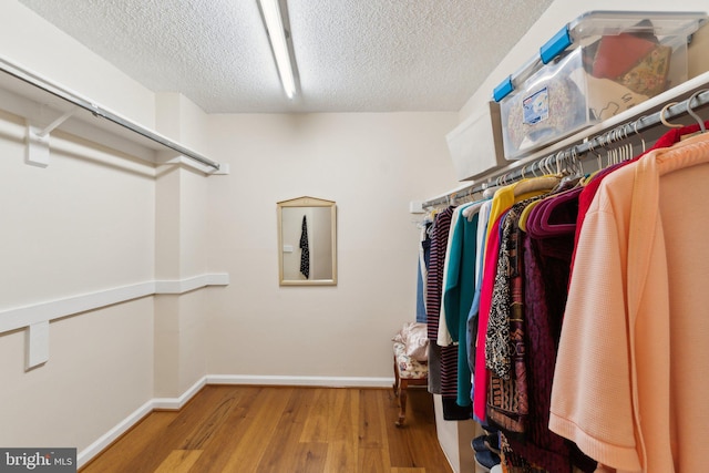 walk in closet featuring wood finished floors