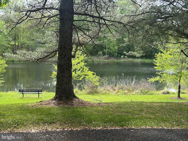 view of water feature with a wooded view