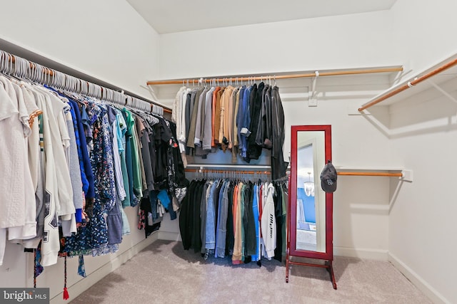 11373 Bishops Gate Ln, Laurel, MD 20723 - walk in closet featuring carpet floors