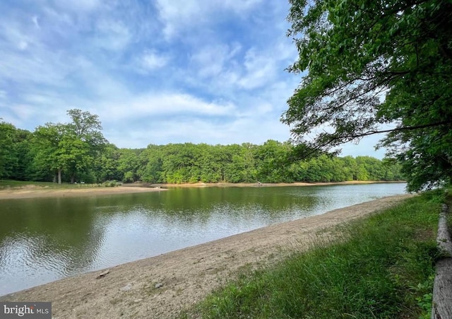 property view of water with a view of trees