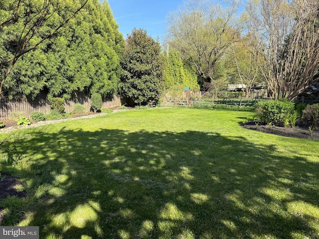 view of yard featuring fence
