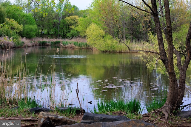 2331 Cambridge Walk, Baltimore, MD 21224 - view of water feature