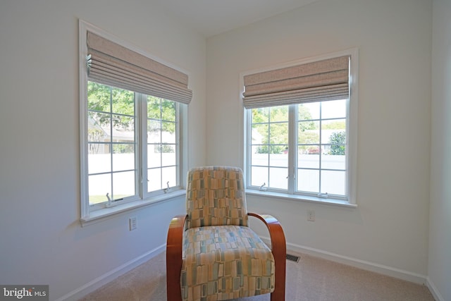 sitting room featuring carpet floors and baseboards