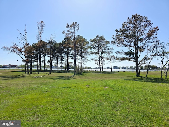 2508 Old House Point Rd, Fishing Creek, MD 21634 - view of yard