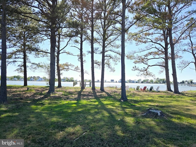 2508 Old House Point Rd, Fishing Creek, MD 21634 - view of yard featuring a water view