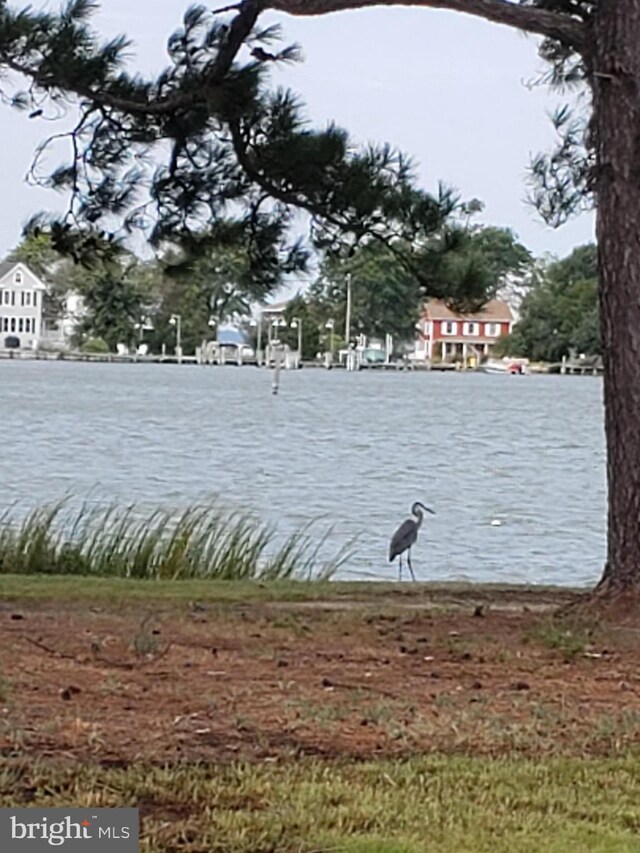 2508 Old House Point Rd, Fishing Creek, MD 21634 - water view