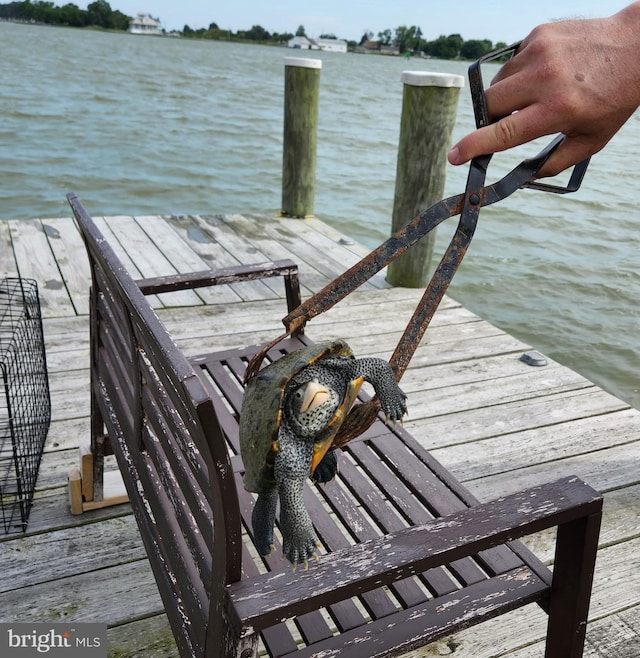 2508 Old House Point Rd, Fishing Creek, MD 21634 - view of dock featuring a water view