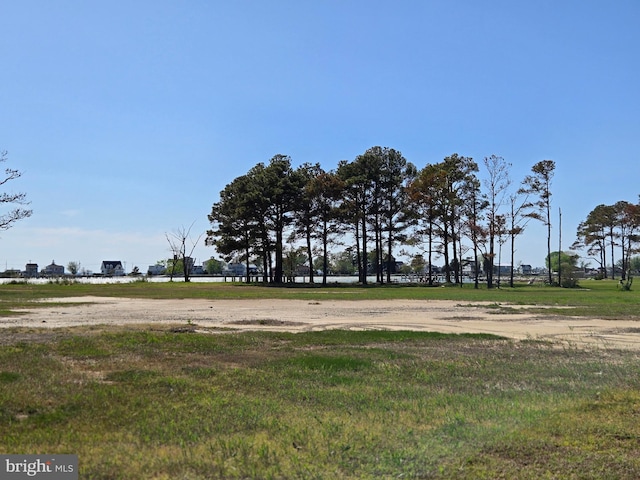2508 Old House Point Rd, Fishing Creek, MD 21634 - view of yard