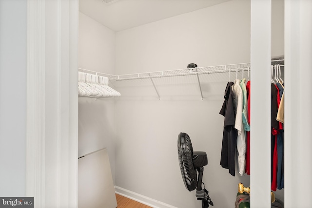 walk in closet featuring wood finished floors