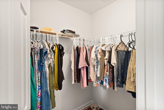 view of walk in closet