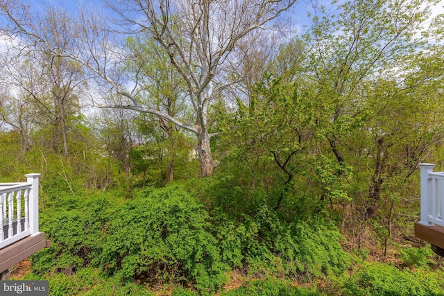 view of yard with a wooded view