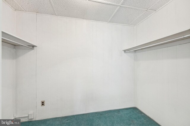 walk in closet with carpet
