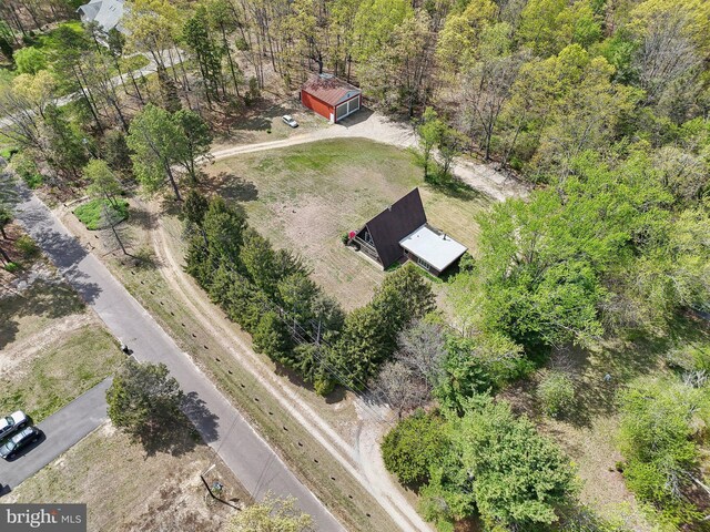 bird's eye view