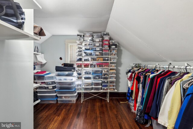 40 Treaty Elm Ln, Haddonfield, NJ 08033 - spacious closet featuring lofted ceiling and wood finished floors