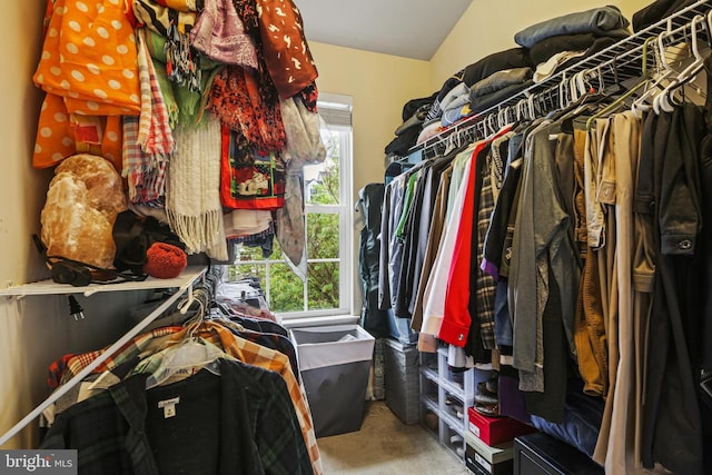 7601 Willow Bottom Rd, Sykesville, MD 21784 - spacious closet with lofted ceiling and carpet