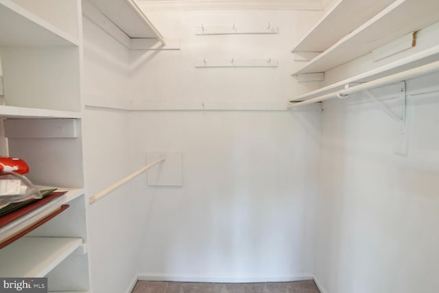 view of walk in closet