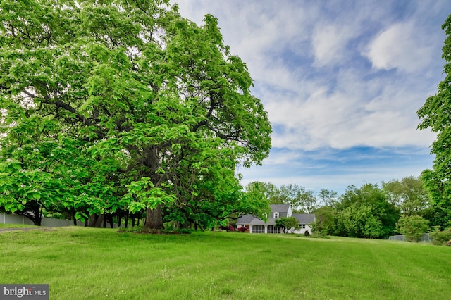 view of green lawn