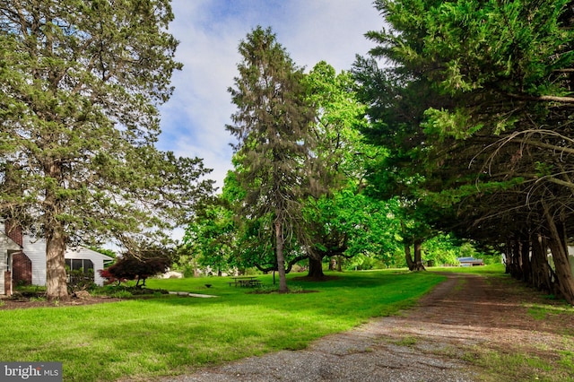 view of home's community featuring a yard