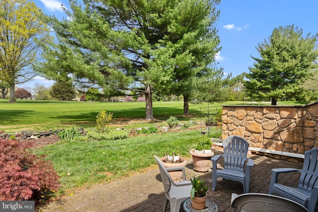 view of yard featuring a patio area