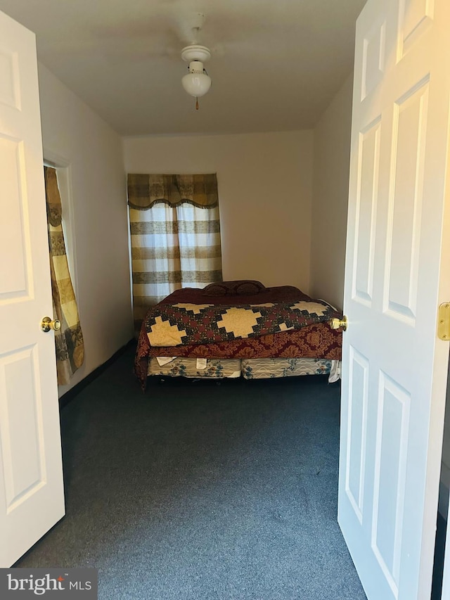 241 Ardmore Ave, Upper Darby, PA 19082 - view of carpeted bedroom