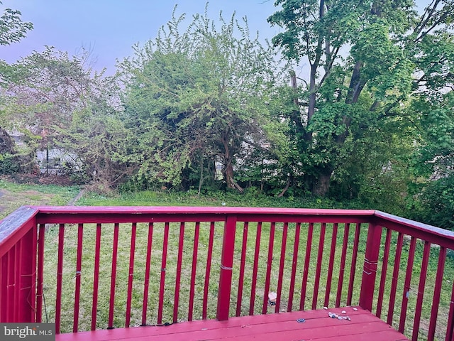 241 Ardmore Ave, Upper Darby, PA 19082 - wooden deck featuring a lawn