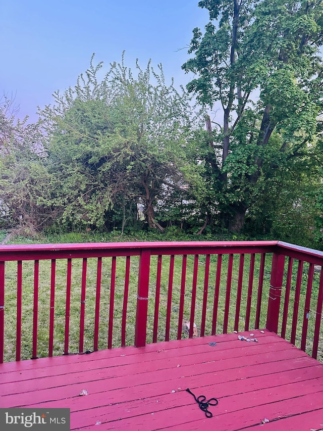 241 Ardmore Ave, Upper Darby, PA 19082 - deck with a yard