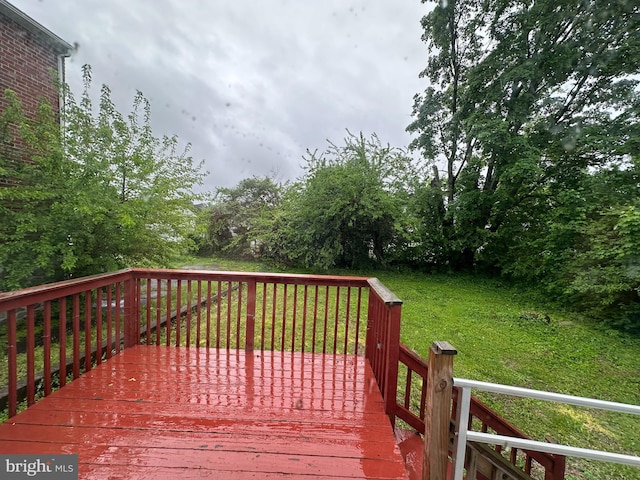 241 Ardmore Ave, Upper Darby, PA 19082 - deck featuring a yard