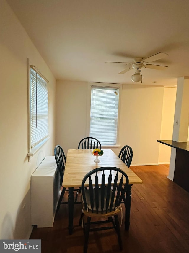 241 Ardmore Ave, Upper Darby, PA 19082 - dining area featuring a ceiling fan, plenty of natural light, and hardwood / wood-style floors