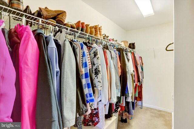 walk in closet featuring carpet floors