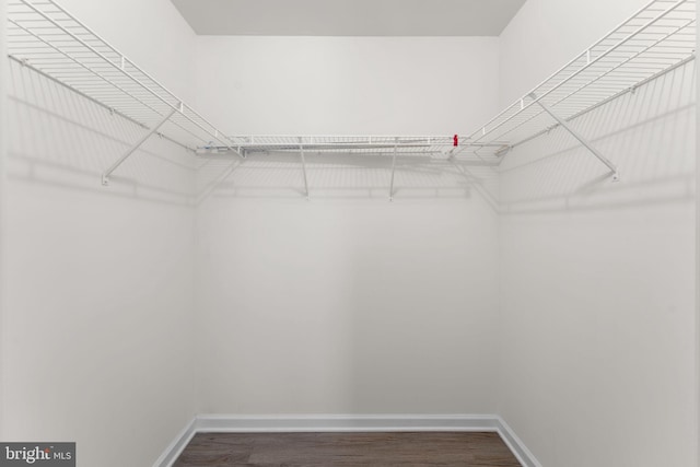 walk in closet featuring wood finished floors