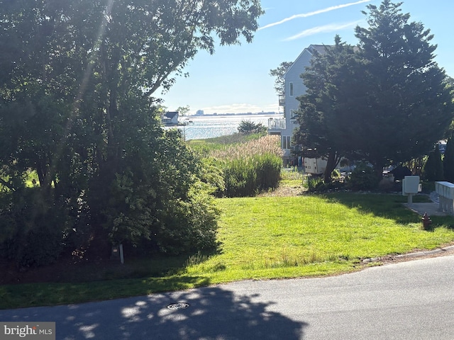 29 Salt Grass Rd, Ocean Pines, MD 21811 - view of yard featuring a water view