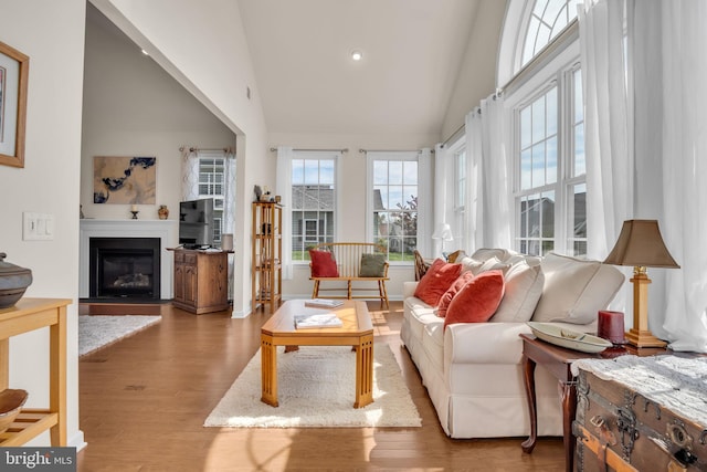 323 Valor Dr, Mechanicsburg, PA 17050 - interior space with a fireplace with flush hearth, high vaulted ceiling, and wood finished floors