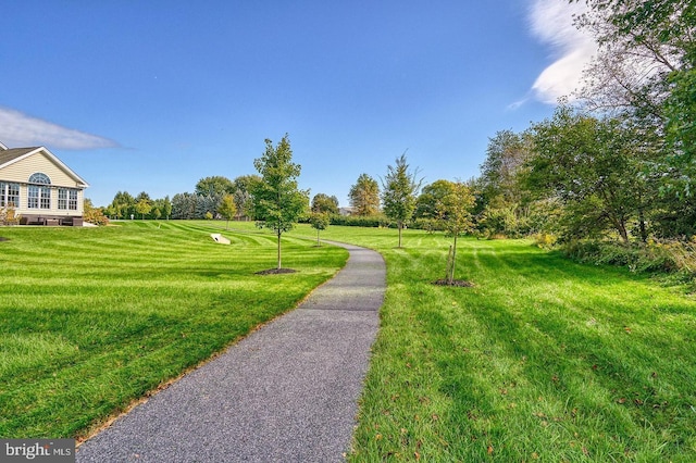 323 Valor Dr, Mechanicsburg, PA 17050 - view of home's community featuring a yard