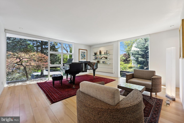 living room featuring built in shelves, light wood-style flooring, and expansive windows