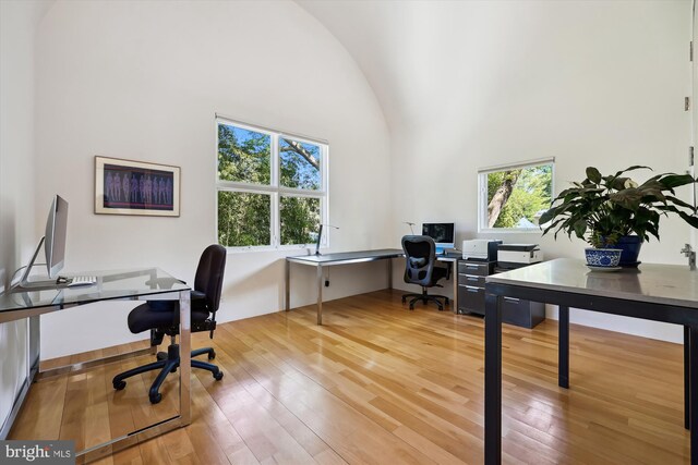 office area featuring wood-type flooring and vaulted ceiling